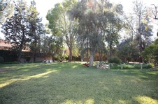 Enlarge photo 13