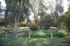 Enlarge photo 15