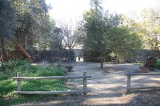 Enlarge photo 20
