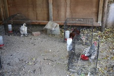 Enlarge photo 5