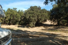 Enlarge photo 34