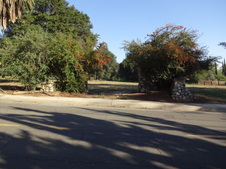 Enlarge photo 17