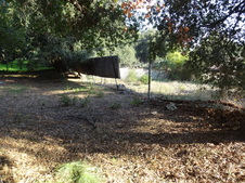 Enlarge photo 30