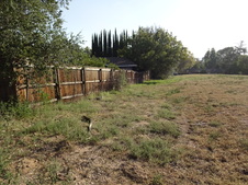 Enlarge photo 32