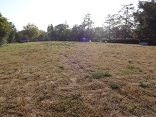 Enlarge photo 33