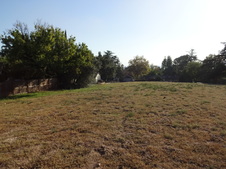Enlarge photo 37