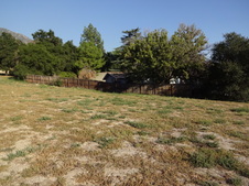 Enlarge photo 40