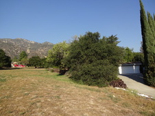 Enlarge photo 42
