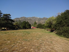 Enlarge photo 43