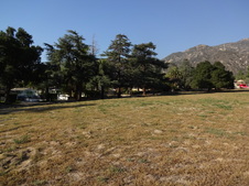 Enlarge photo 44