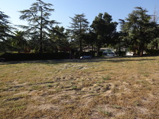 Enlarge photo 45