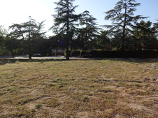 Enlarge photo 46