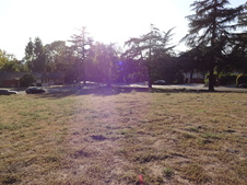 Enlarge photo 47
