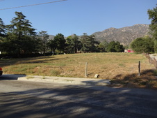 Enlarge photo 53
