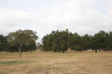 Kenneth Hahn State Recreation Area
