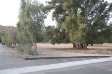 Enlarge photo 19