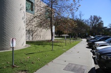 Enlarge photo 33