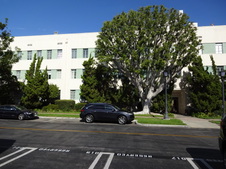 Fox Lot - Building 88