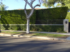 Enlarge photo 5