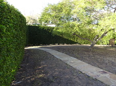 Enlarge photo 19