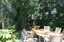 Enlarge photo 75