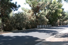 Enlarge photo 83