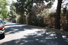 Enlarge photo 84