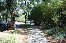Enlarge photo 86