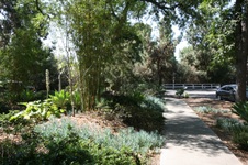Enlarge photo 23