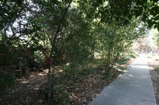 Enlarge photo 87