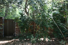 Enlarge photo 88