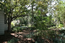 Enlarge photo 89