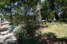 Enlarge photo 93