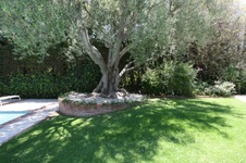 Enlarge photo 28