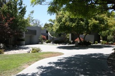 Enlarge photo 38