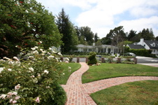 Enlarge photo 8