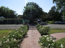 Enlarge photo 41