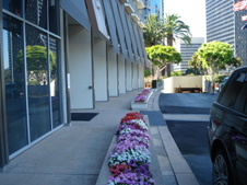 Enlarge photo 46