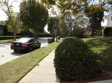 Enlarge photo 39