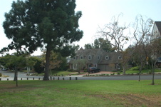 Enlarge photo 1