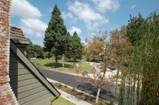 Enlarge photo 36