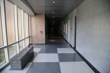 Enlarge photo 67