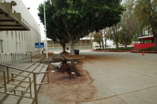 Enlarge photo 15