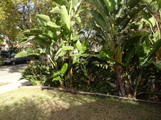 Gail's House