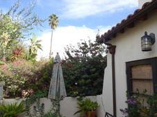 Enlarge photo 16