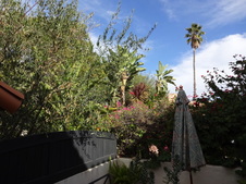 Enlarge photo 17