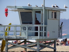 Enlarge photo 33