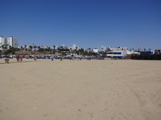 Enlarge photo 41