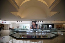 Enlarge photo 57