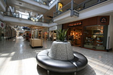 Enlarge photo 35